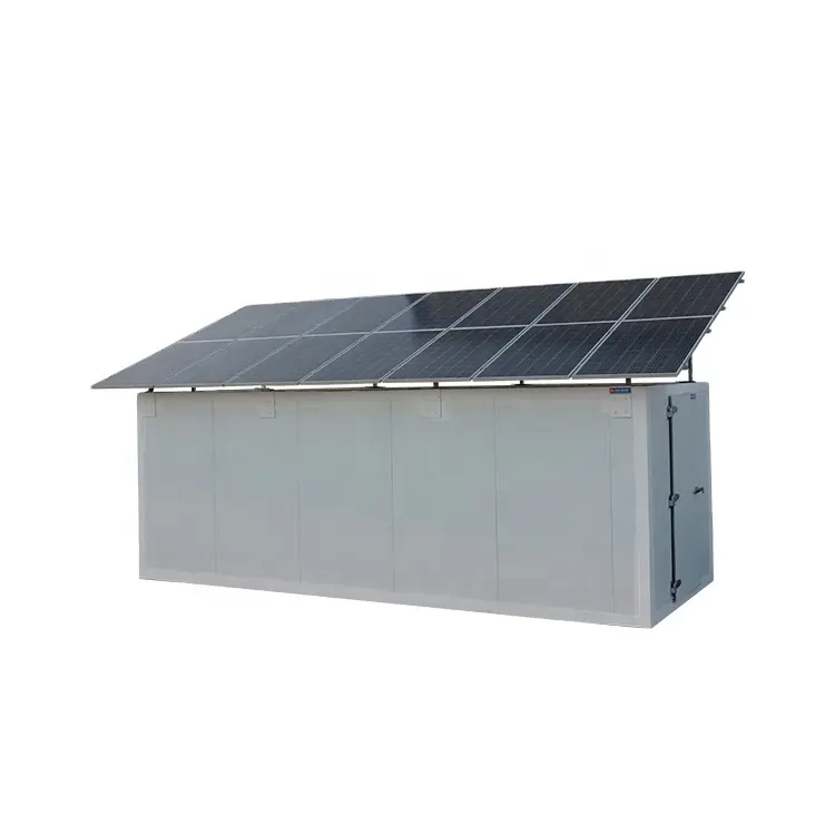 Sala de almacenamiento para verduras y frutas, habitación fría con energía Solar