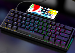 Benutzer definierte RGB Hintergrund beleuchtung kompakt Anti-Ghost ing Mini 61 Tasten 60% Gaming Mechanische Tastatur für Computer