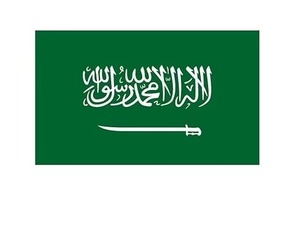 Nakliye iletici çin hava kargo kapıdan kapıya hizmet çin suudi arabistan - Product Image 1
