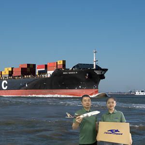 Pengiriman gratis izin pabean Forwarder FBA Ddp dari Tiongkok Shenzhen agen pengiriman ke Inggris Kanada Prancis Jerman ke pintu - Product Image 6