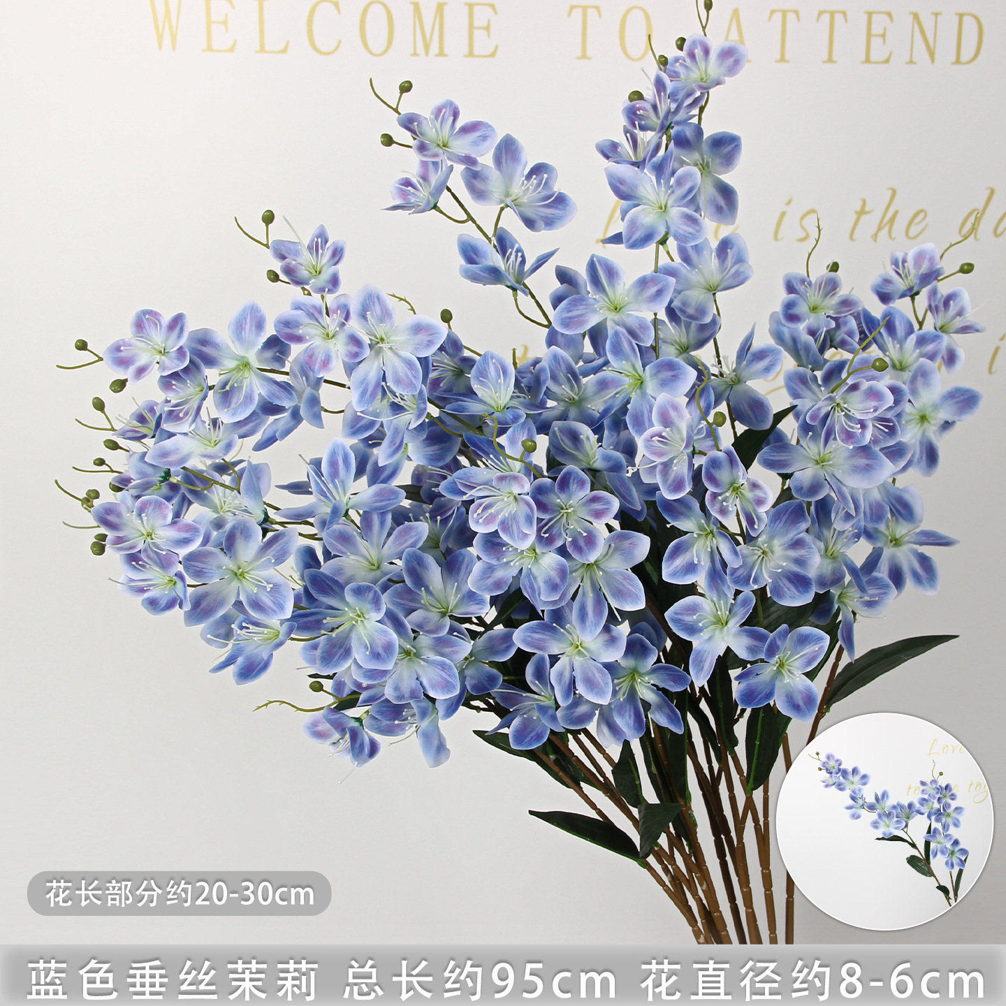 Branche de jasmin pleureur bleu