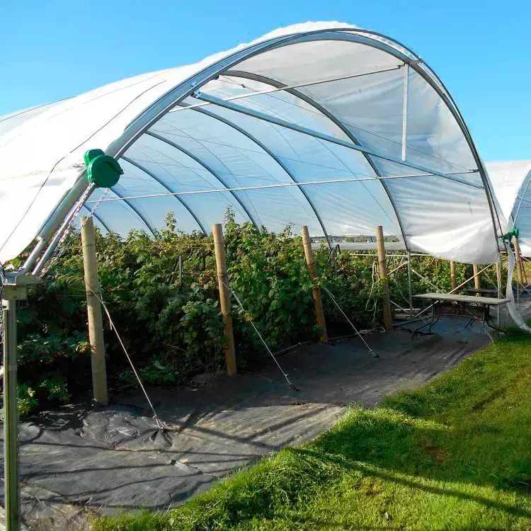 Serre commerciale lourde Sainpoly 4 saisons pour serre tunnel agricole myrtille fraise