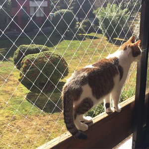 Kunststoff-Netz fenster Sicherheits netz/Katzen fensters chutznetz Kinder sicherheits netz für Balkon