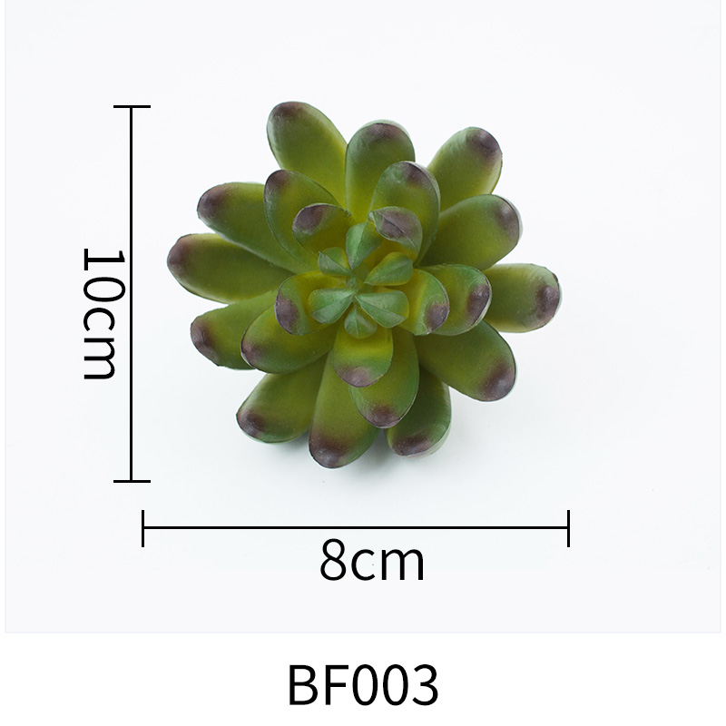 BF003