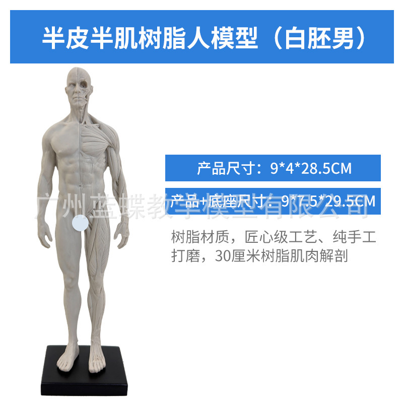 30CM Resin - Unfinished - Male