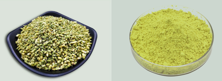 Quercetin 98% Wholesale Bulk Price Pure Extract Powder