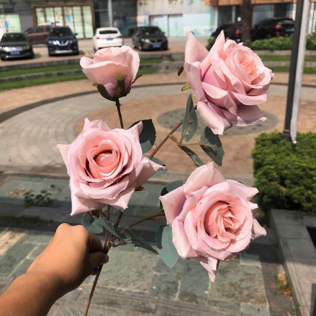 5 cabezas rosa otoñal