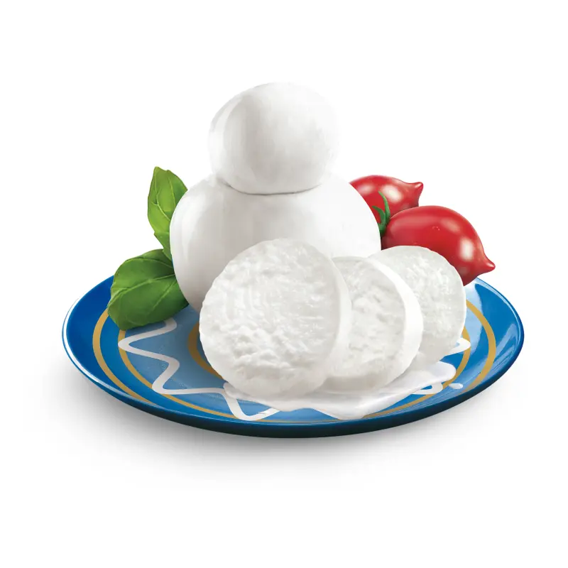 Il formaggio Mozzarella 100% latte italiano dell'etichetta privata utilizza fermenti lattici selezionati adatti al vegetariano