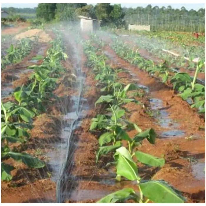 Farming water irrigation tubes agricultural micro flat laser spray horse pipe rain pipe irrigation system rain spray hose kit