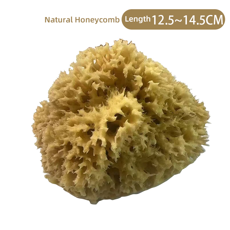 H145N Nid d'abeille naturel 12,5-14,5 cm