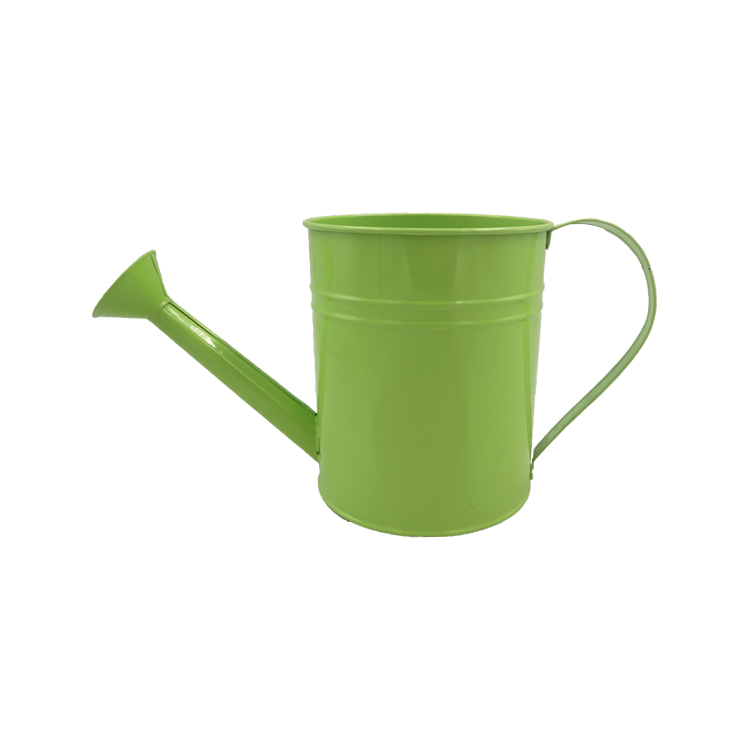 vert