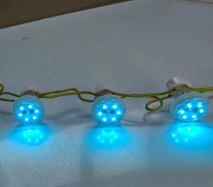 All'ingrosso 6LED 30mm 24V automatico RGB luci LED E14 Pixel lampadina per luna Park giostre - Product Image 6