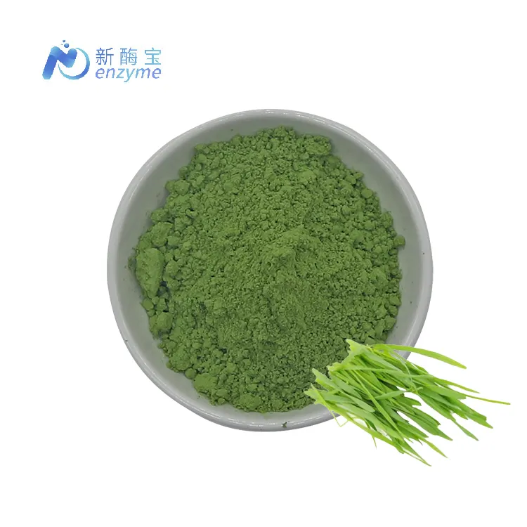 Novenzyme Supply OEM Private Label Barley Grass Juice Powder  Bulk Organic Super Green Powder 100% Pure Barley Grass Powder