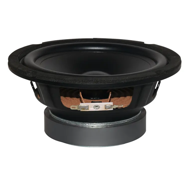 Professionele Audio Speaker Woofer Groothandel 6.5 Inch Karaoke Speaker Wl61631