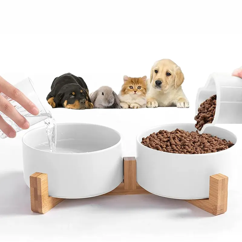 Nouveau bol d'alimentation en eau en céramique pour chien chat avec support en bambou antidérapant