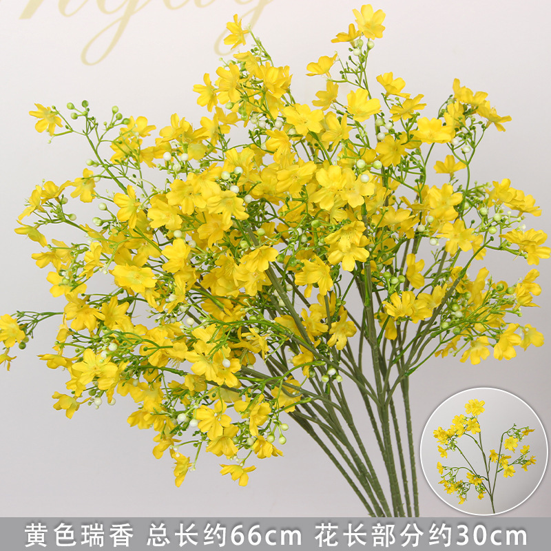 Branche de Daphné jaune