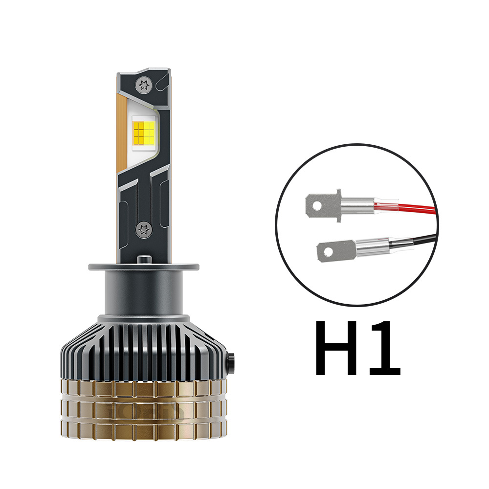 H1