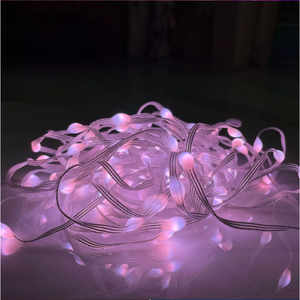 Weihnachts beleuchtung Traum farbe LED-Lichterkette WS2812B Individuell adressierbar RGBIC LED-Modul USB Music Controller DC5V - Product Image 5