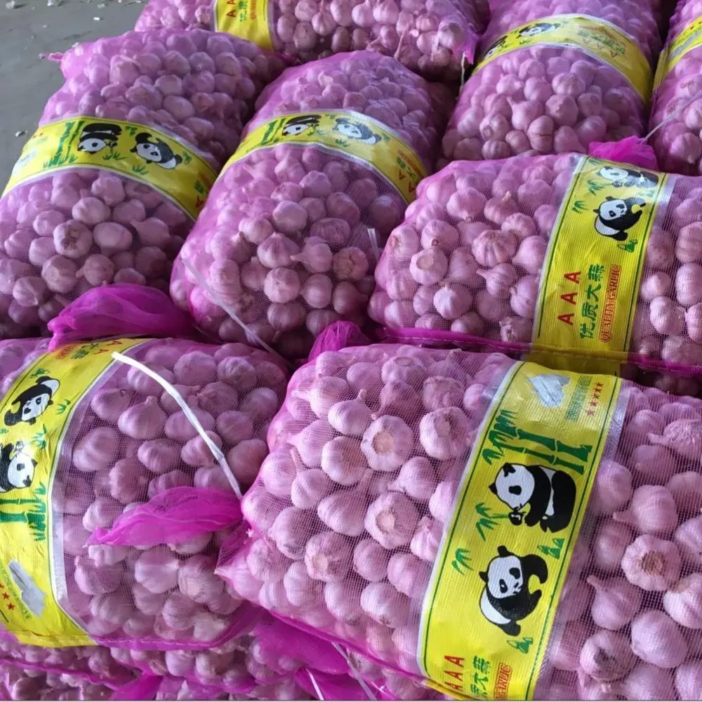 Sinofarm supply Cold Storage garlic super white for Wholesale fresh purple peeled garlic price for export