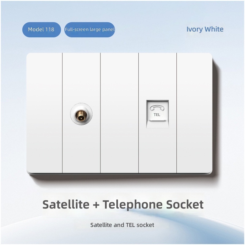 Satellite and TEL socket