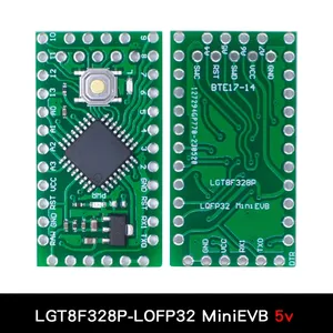 LGT8F328P LQFP32 MiniEVB 3.3V/5V completamente compatibile Pro Mini ATMEGA328P sostituzione per Arduino con Driver HT42B534-1 - Product Image 6