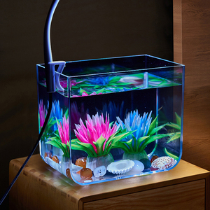 Tabletop Plastic Small Fish Water Tanks Set for Sale with Light and <strong>Filter</strong> - Product Image 4