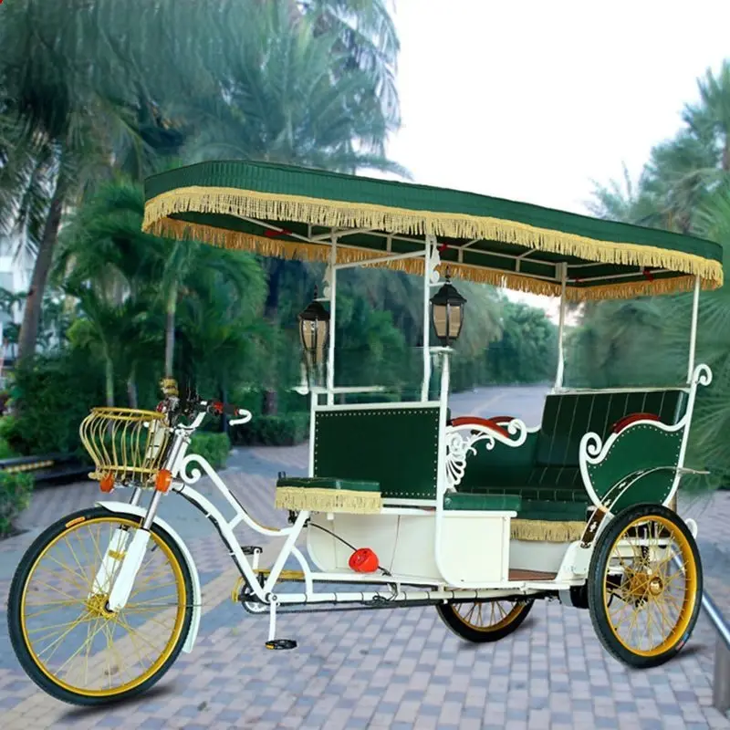 यात्री के लिए शहर का दौरा इलेक्ट्रिक टक पेडीकाब रिक्शा पर्यटन