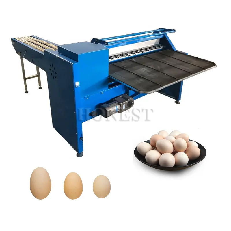 Classificador de ovos em aço inoxidável/máquina de classificação de tamanho de ovos/máquina de classificação de ovos