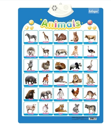 animal anglais 02