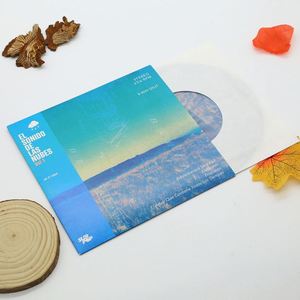 ジャケットの安い音楽レコードビニールカスタムビニールレコードは空白のビニールレコードをカバーします - Product Image 1