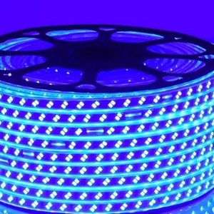 Özelleştirilebilir CE Rohs LED şerit ışık PVC vücut fabrika satış IP20 değerlendirme - Product Image 2