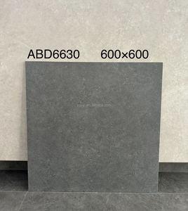 2025 bán chạy nhất 600x600 trắng mịn Antique gốm gạch lát sàn hiện đại trên bán - Product Image 5