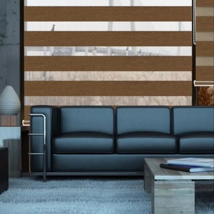 Karartma Polyester Zebra perde manuel satın stor perde elektrikli panjur akıllı manuel Windows Shades & kepenkleri ürün için - Product Image 4