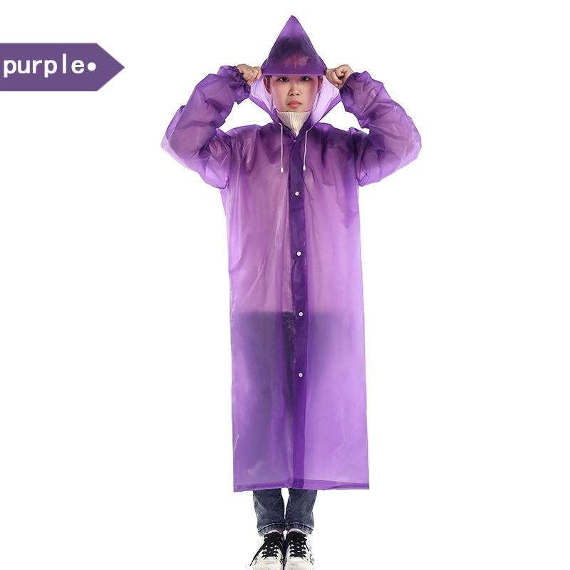 Pourpre