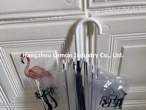 批发便携式彩色透明伞定制自动直柄遮阳伞透明伞带标志 - Product Image 3