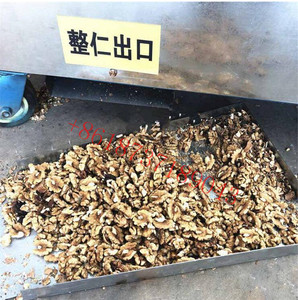 优质核桃山核桃削皮机核桃仁壳分离机核桃硬壳去皮机 - Product Image 2