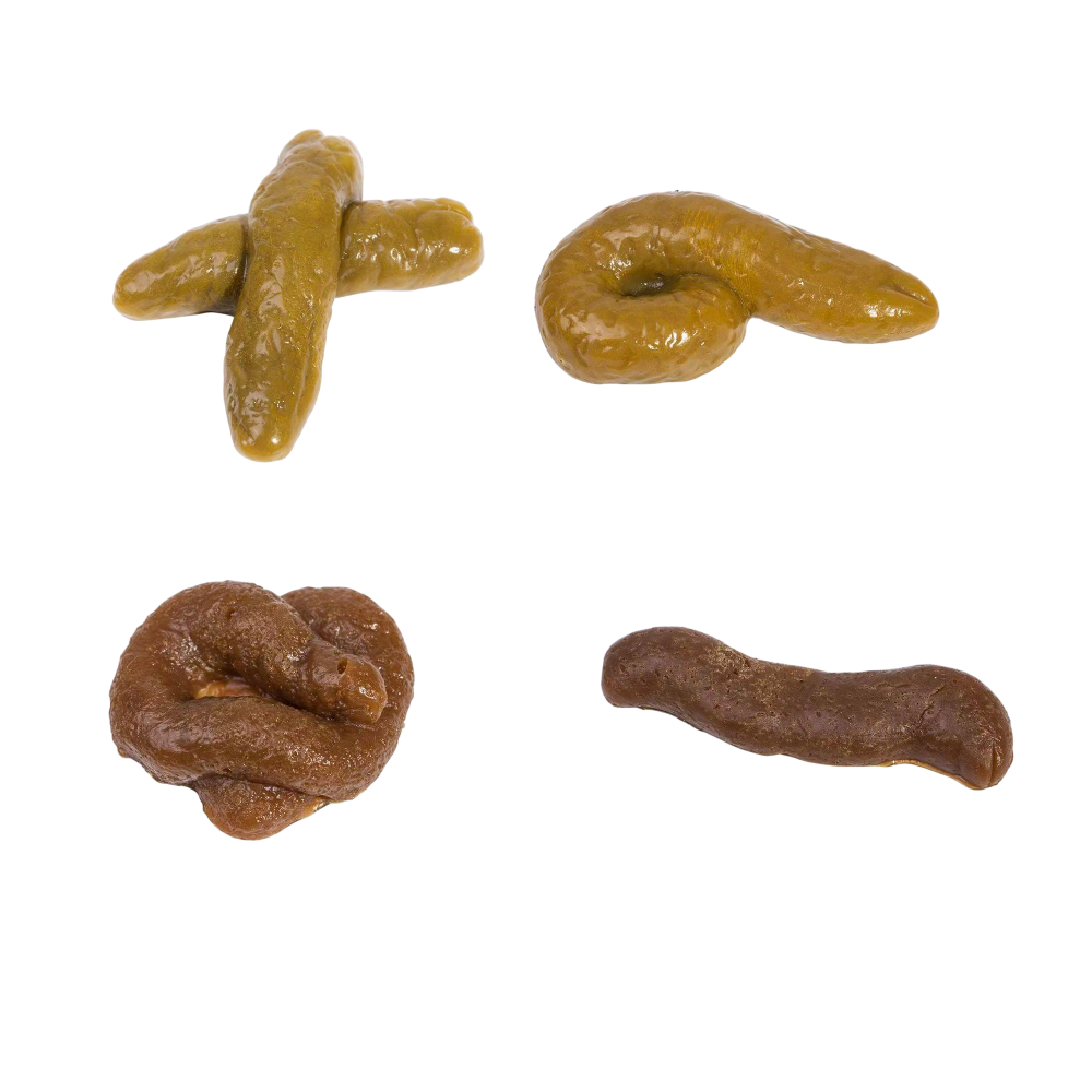 Aleatorio