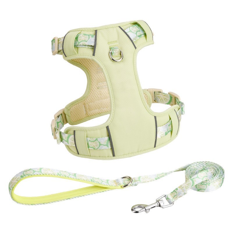 Green harness leash