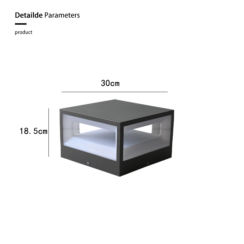 Électrique-Moyen-30cm