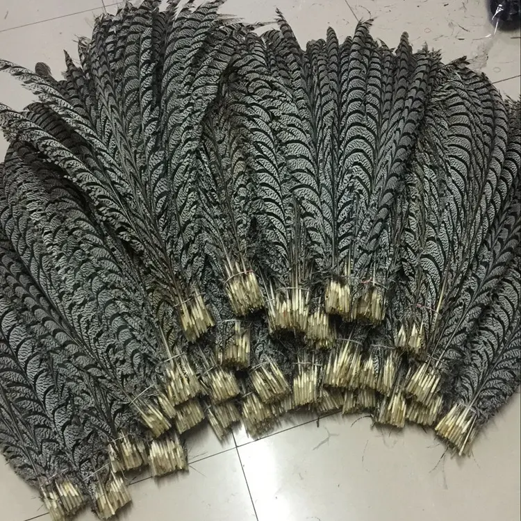 Venta directa de fábrica de teñido plumas de faisán para decoración de las plumas de faisán para sombreros decoración plumas de faisán.