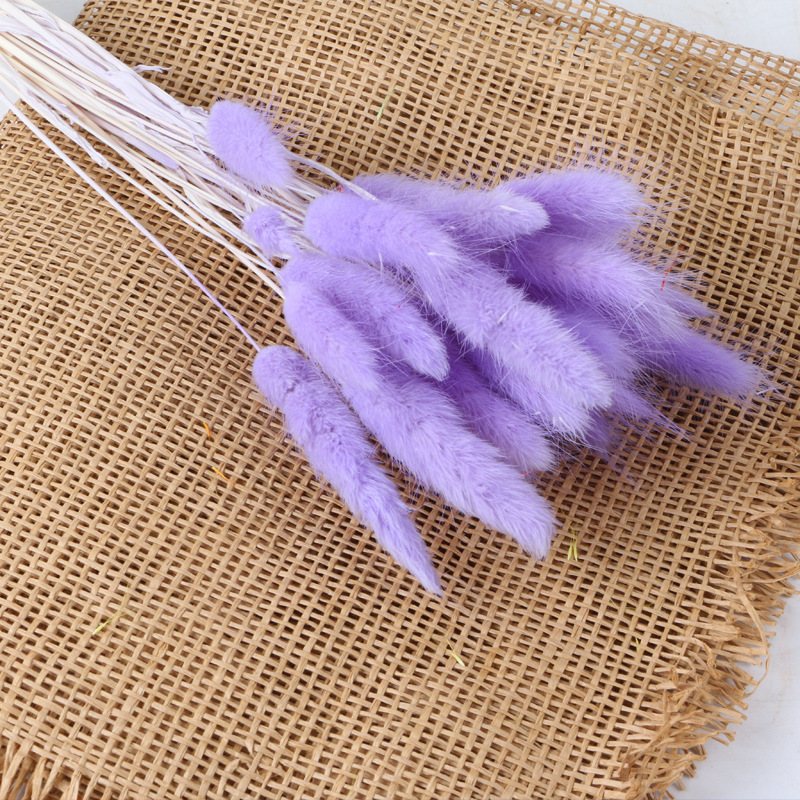 Violet (env.30 pièces)