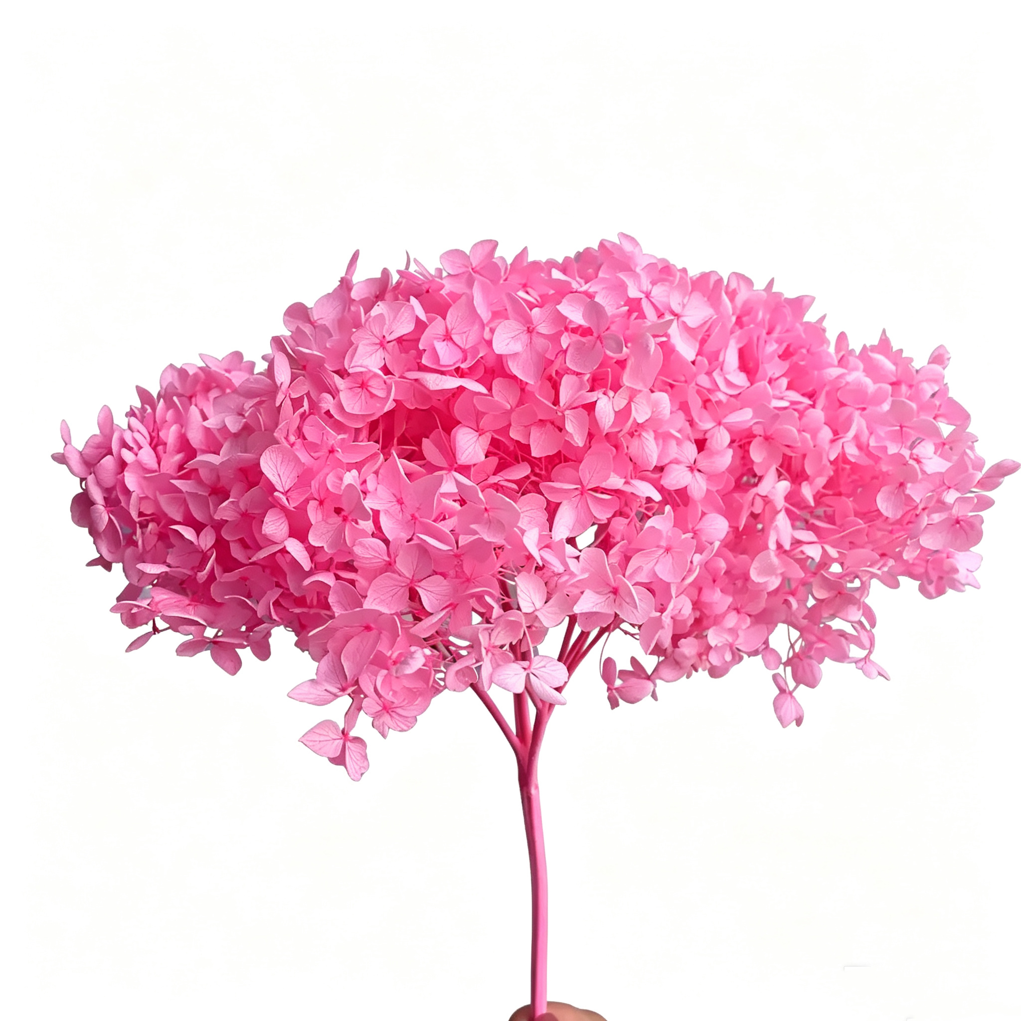 bright pink