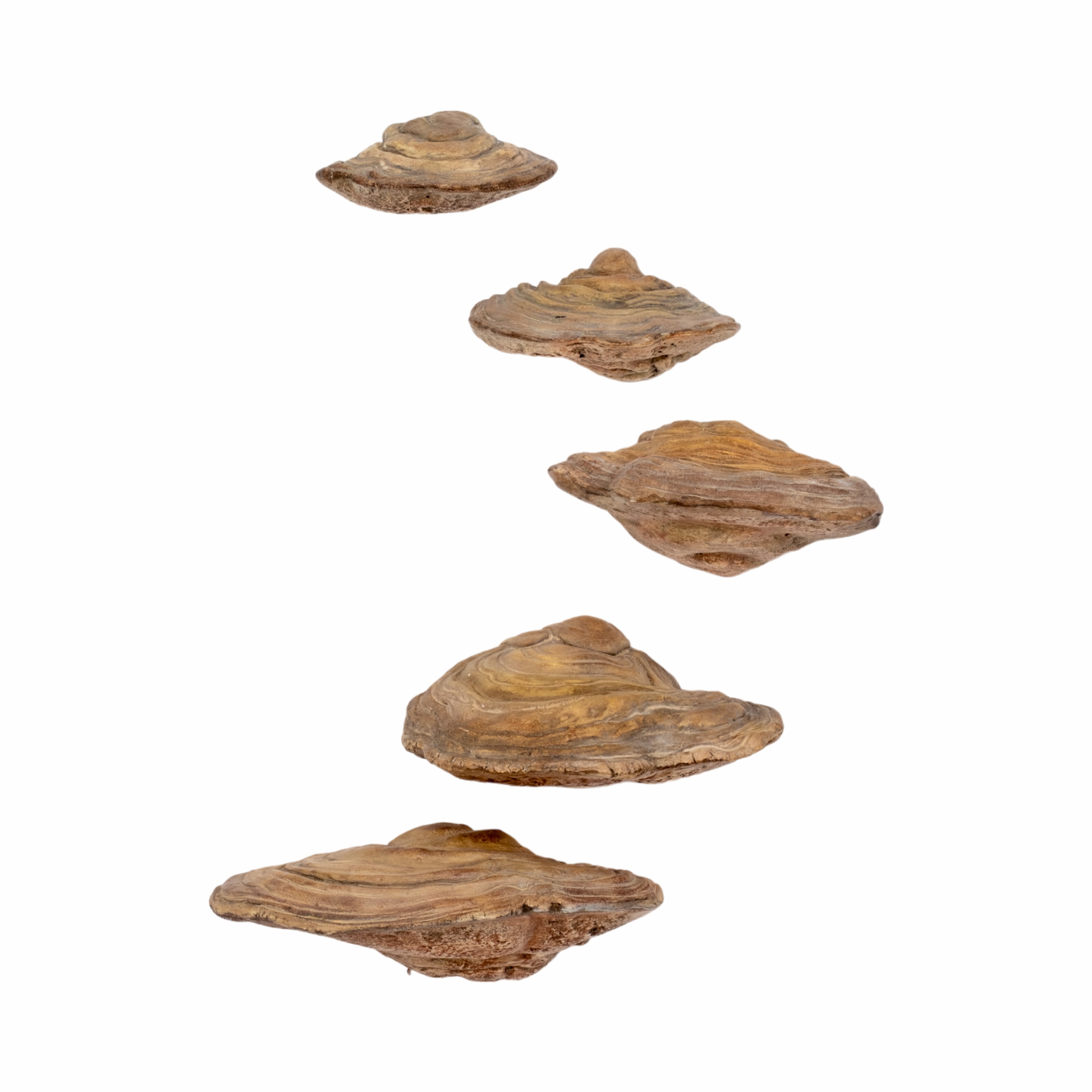 Tan
