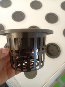 Reinfa Aero dọc hệ thống bền vững, đất trồng trọt miễn phí cho sôi động, dinh dưỡng dày đặc sương microgreens - Product Image 5