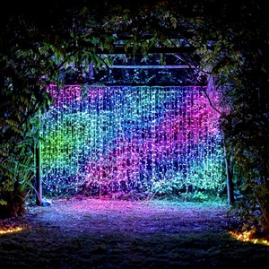 <strong>Custom</strong> Outdoor Waterproof Garden Christmas Decoration <strong>Multi</strong> <strong>Color</strong> RGB Luminous 5m 10m Dmx512 Control Pixel Led <strong>String</strong> <strong>Light</strong> - Product Image 4