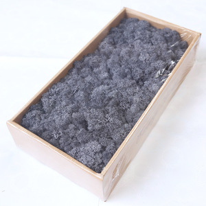 Wholesaleリビング壁アイルランド保存モス - Product Image 6
