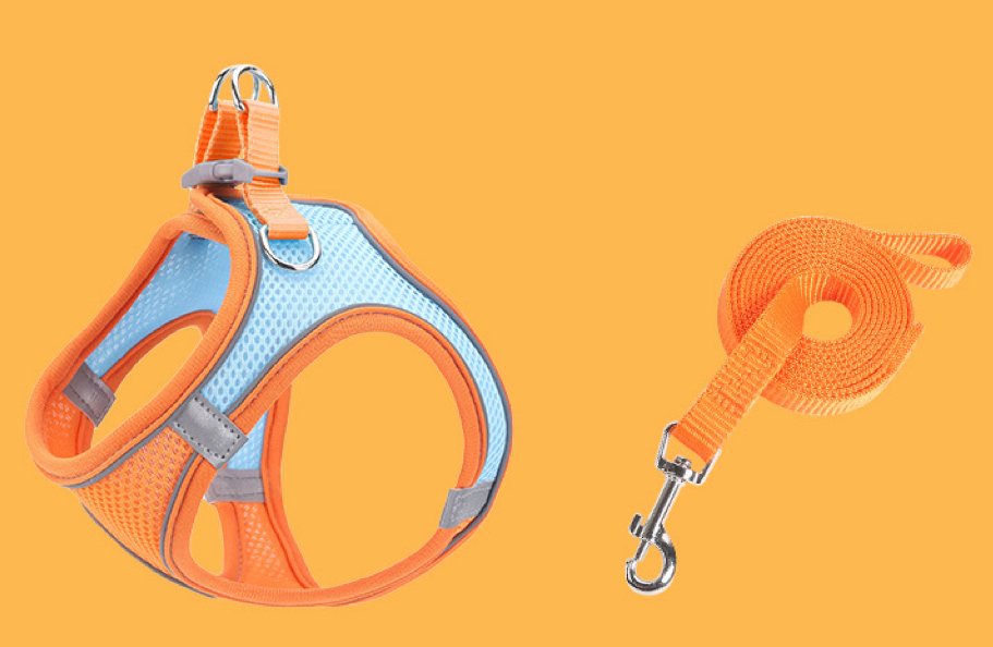 Conjunto de mezcla de naranja