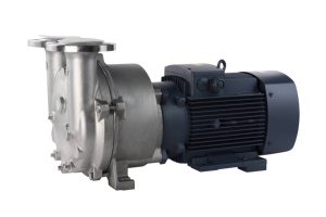 2BV sıvı halka vakum pompası korozyona dayanıklı Motor ile birleştiğinde 304/316SS kompresör su halkası vakum pompası - Product Image 2