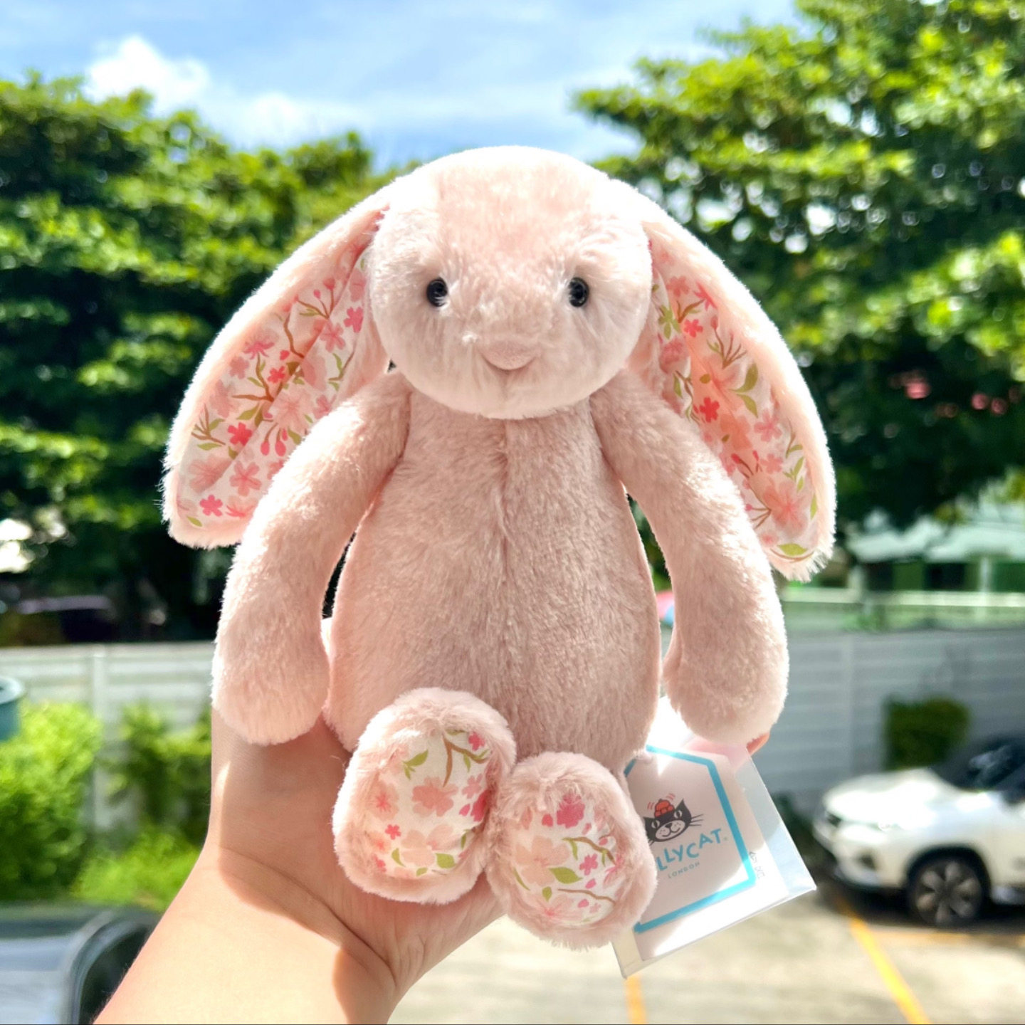 chery 18cm