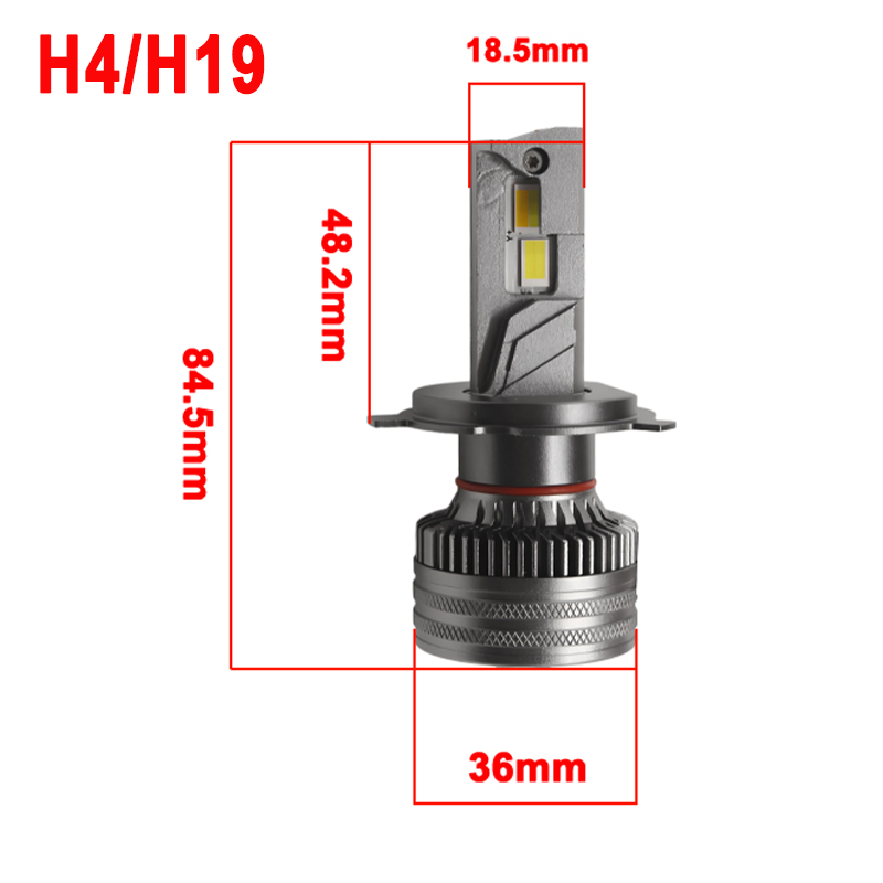 H4/H19